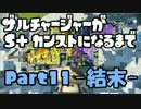 ザルチャージャーがS+カンストになるまで Part11-結末-