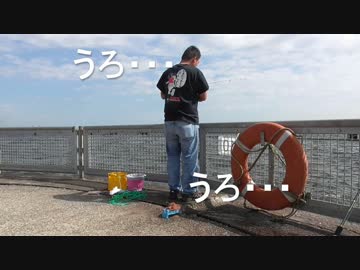 釣り動画ロマンを求めて　3釣目（本牧海づり施設：後半）