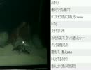 ダイオウグソクムシを眺めては実況してみた！ウシシ（生放送主）