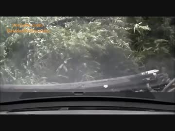 【閲覧注意】激しい事故動画10