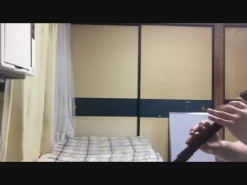 仮面ライダーエグゼイドOP『EXCITE』をリコーダーで吹いてみた