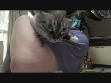 【185】ジャン❤︎ポン　ジャンくん新記録！　30秒の抱っこ