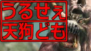 うるせぇ天狗どもがモンハンオンラインやりました05