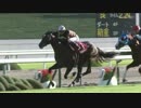 【競馬】2016年 京都大賞典 キタサンブラック【GII】