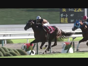 【競馬】2016年 京都大賞典 キタサンブラック【GII】