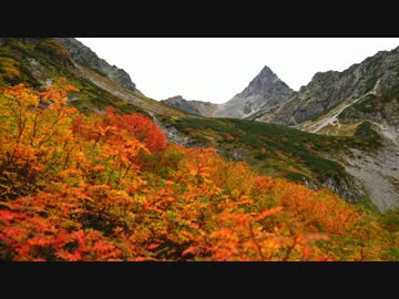 【槍沢】／~~＼にわかノボラーでもヤマ充したい！　その２１－①