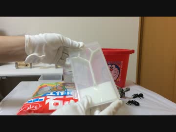 蟻戦争66回 アリの実験装置を作る編