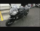 ninja250購入しました！