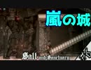 【SaltandSanctuary】塩は人生、塩を捧げよ。#６【2Dアクション実況】