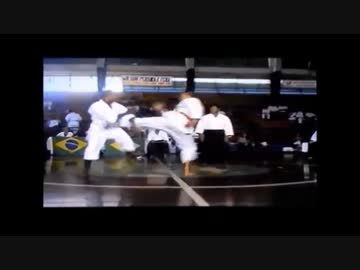 伝統派空手のMMAへの適応