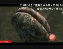 【バイオ４】ロキシー　ディルラゴ