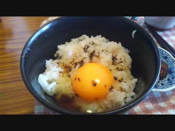 Ninjaまったり君の　おいしい卵かけごはんを求めて　11杯目