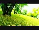 秋の公園改
