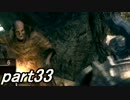 【実況】 絶叫と悲鳴の初見ダークソウル 【DARK SOULS】part33
