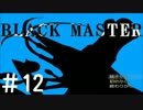 【実況プレイ】Black Master -Test Version- #12