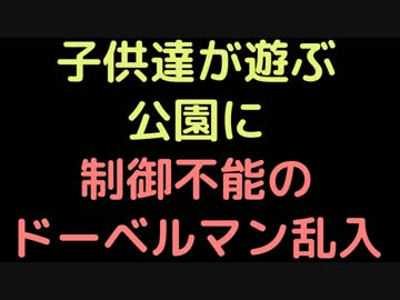 子供達が遊ぶ公園に、制御不能のドーベルマン乱入【2ch】