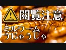 【閲覧注意】ジャンボミールワームの群れ