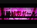 【ニコカラ】乱躁滅裂ガール【OnVocal】