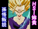 HSI姉貴孫悟飯説.DB