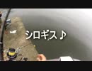 クルマで釣りに行こう♪ part 52 後編