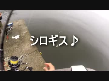 クルマで釣りに行こう♪ part 52 後編