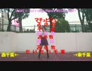 【黒歴史】メルヘンデビュー！ 踊ってみた【自コメ付き】