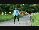 【膝出し】「シグナル」っていう歌作ってみた/南海放送ラジオPRソング