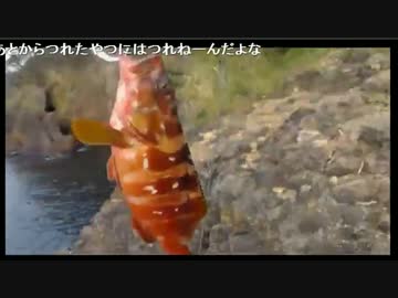 10.14  井上の西伊豆根魚釣行