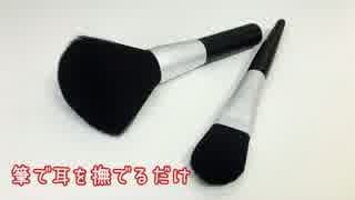 【ASMR】筆で耳を撫でるだけ（声有り）