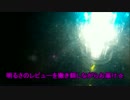 ハピソン（Hapyson）水中集魚灯で撒き餌してみた結果・・・！