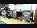 私が居なくなった後、ボールを咥えながら鳴くあずき　