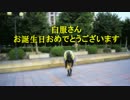 【白服さん】気まぐれメルシィ 踊ってみた【お誕生日おめでとう】