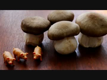 一人きのこ祭りしてみた。2016【9種】