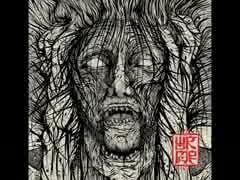 洋楽メタル紹介 “1411”　Wormrot　-　Shallow Standards