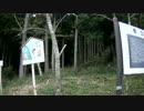 低山を歩こう　新龍アルプス縦走 20161010 part3