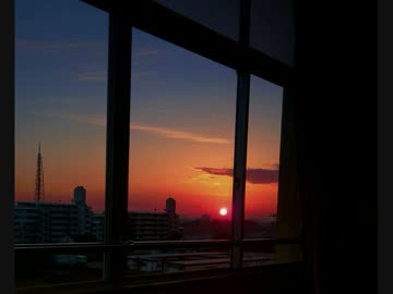 ноябрь　одиннадцать