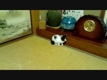 我が家のハート様