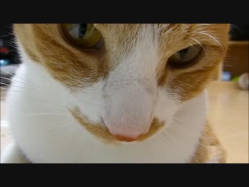 今日はドアップで♪