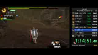 MH4G RTA 3時間49分10秒 part3 ノーカット版