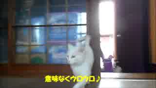 白淡久々うちに入ってきたよ！②