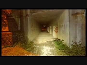 2016年10月18日 小畔水鳥の郷公園に行きたい ～団地のある風景～ Part3