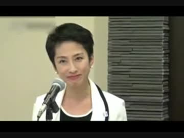 二重国籍発覚から金田法務大臣の国籍法14条見解示唆までのR4の発言集