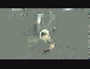 2016年10月15日中継のハイライト カゴに座る啓啓（チーチー）。