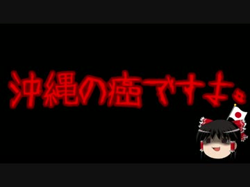 【ゆっくり保守】琉球新報「鉄線切った位でなんだ！（要約）」