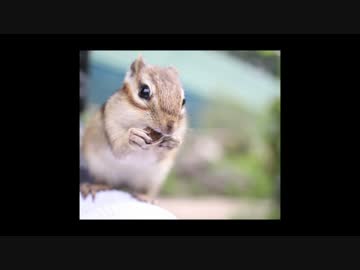 貧乏ドゥカティストの北海道ツーリングpart5