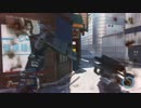 CoD:IW Beta TDM 3点バーストアサルトライフル FTL