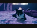 KAYTRANADA - GLOWED UP (feat. Anderson .Paak)