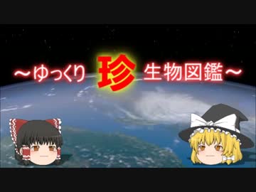 ～ゆっくり　珍　生物図鑑～　新・44回