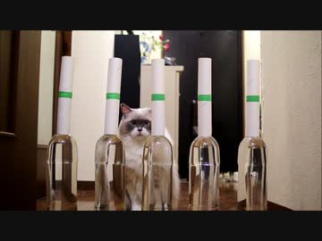 時定ペットボトルダイエット大作戦