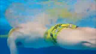 人気の クロール 動画 93本 ニコニコ動画